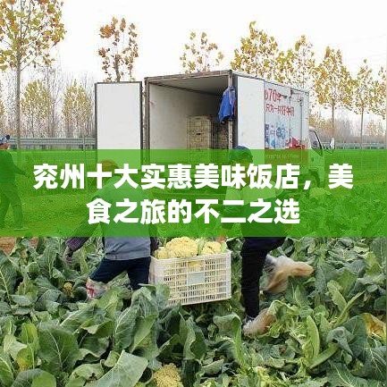 兗州十大實惠美味飯店，美食之旅的不二之選