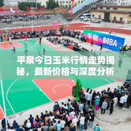平泉今日玉米行情走勢揭秘，最新價格與深度分析