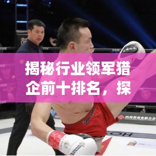 揭秘行業(yè)領(lǐng)軍獵企前十排名，探尋成功秘訣！