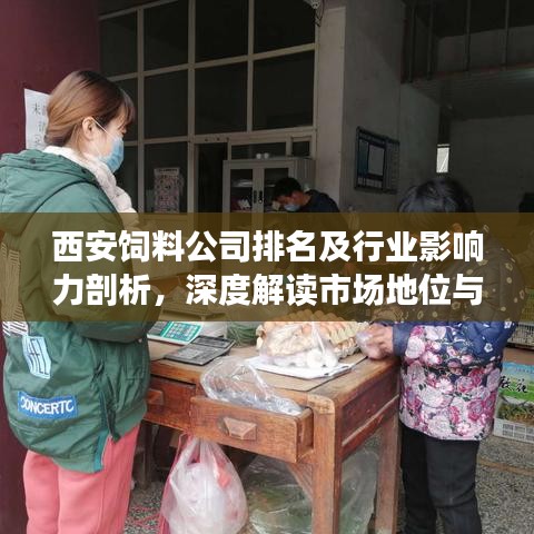 西安飼料公司排名及行業(yè)影響力剖析，深度解讀市場(chǎng)地位與影響力