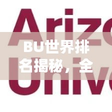 BU世界排名揭秘，全球影響力與地位的探究