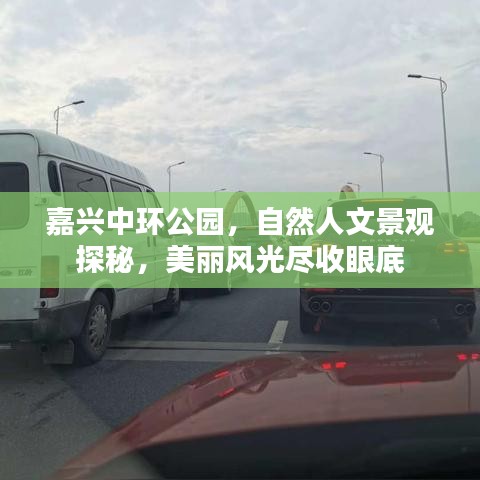 嘉興中環(huán)公園，自然人文景觀探秘，美麗風(fēng)光盡收眼底