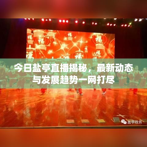 今日鹽亭直播揭秘，最新動態(tài)與發(fā)展趨勢一網(wǎng)打盡