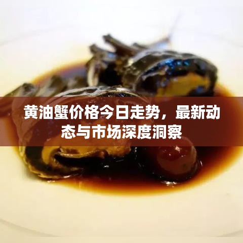 黃油蟹價格今日走勢，最新動態(tài)與市場深度洞察