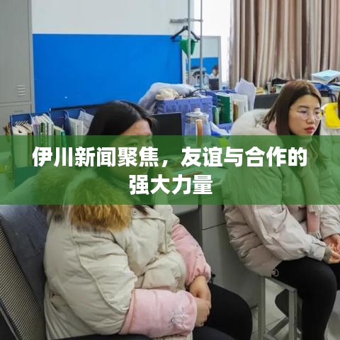 伊川新聞聚焦，友誼與合作的強大力量