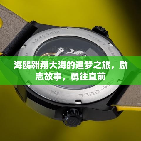 海鷗翱翔大海的追夢(mèng)之旅，勵(lì)志故事，勇往直前