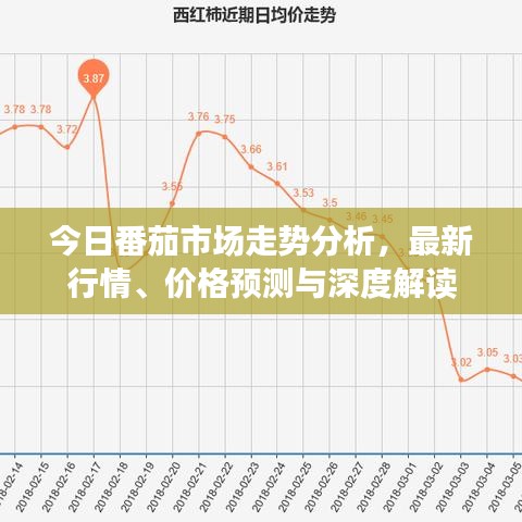 今日番茄市場(chǎng)走勢(shì)分析，最新行情、價(jià)格預(yù)測(cè)與深度解讀