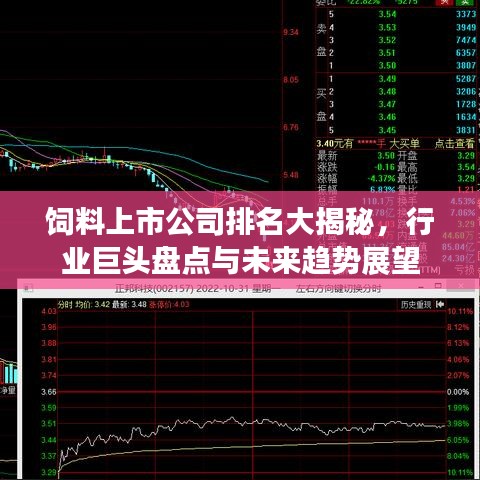 飼料上市公司排名大揭秘，行業(yè)巨頭盤點(diǎn)與未來趨勢(shì)展望