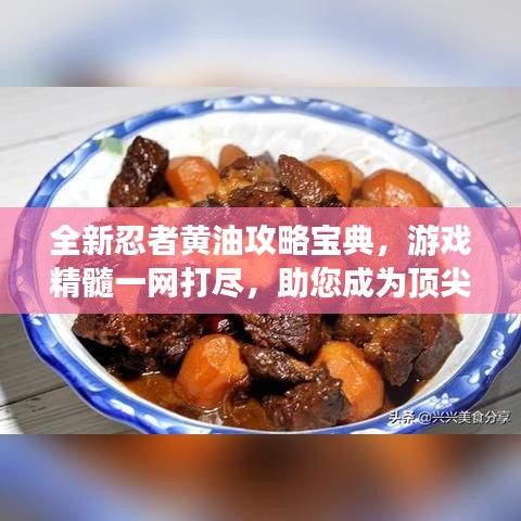 全新忍者黃油攻略寶典，游戲精髓一網(wǎng)打盡，助您成為頂尖高手！