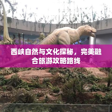 西峽自然與文化探秘，完美融合旅游攻略路線