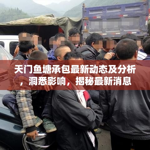 天門魚塘承包最新動(dòng)態(tài)及分析，洞悉影響，揭秘最新消息