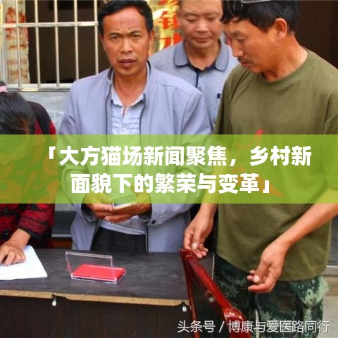 「大方貓場新聞聚焦，鄉(xiāng)村新面貌下的繁榮與變革」