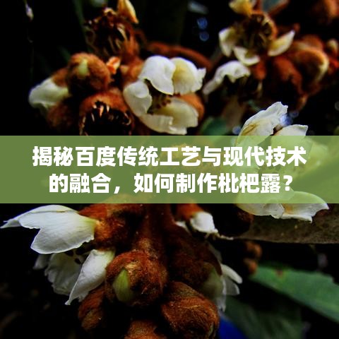 揭秘百度傳統(tǒng)工藝與現(xiàn)代技術(shù)的融合，如何制作枇杷露？
