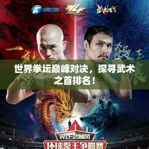 世界拳壇巔峰對決，探尋武術之首排名！