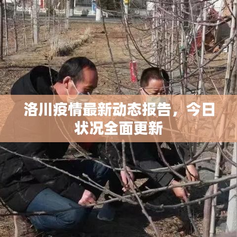 洛川疫情最新動(dòng)態(tài)報(bào)告，今日狀況全面更新
