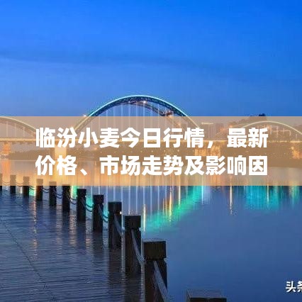 臨汾小麥今日行情，最新價格、市場走勢及影響因素深度解析