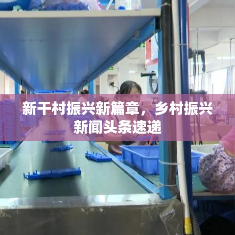 新干村振興新篇章，鄉(xiāng)村振興新聞?lì)^條速遞