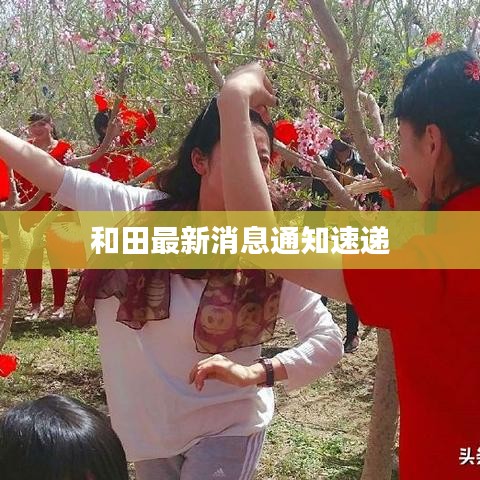 和田最新消息通知速遞