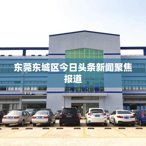 東莞東城區(qū)今日頭條新聞聚焦報道