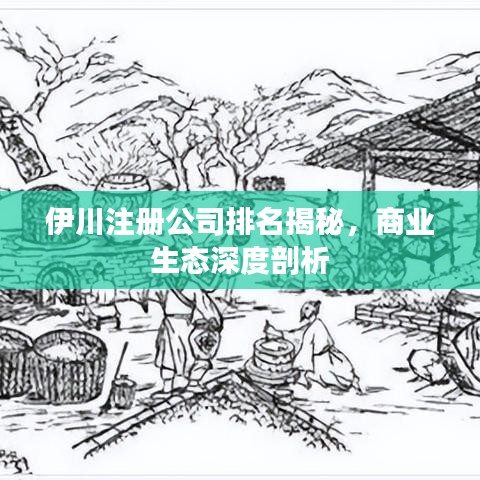 伊川注冊公司排名揭秘，商業(yè)生態(tài)深度剖析