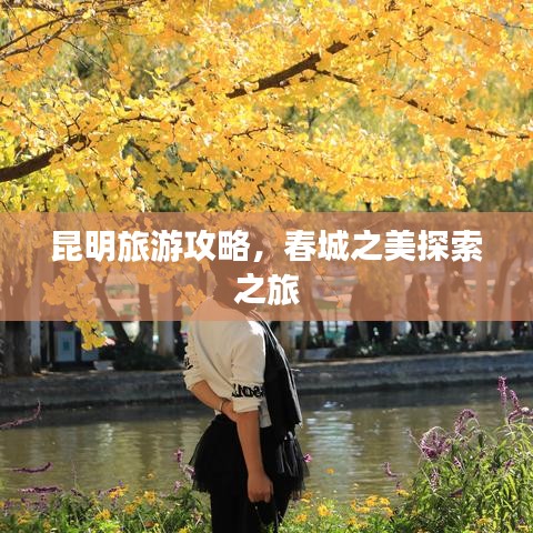 昆明旅游攻略，春城之美探索之旅