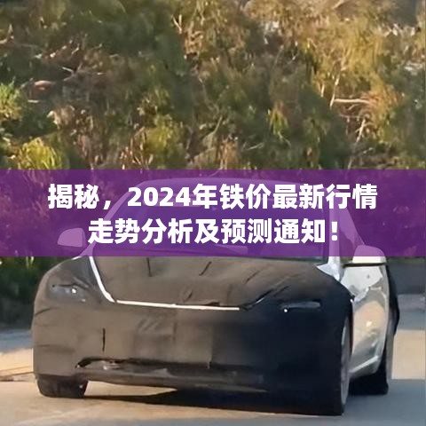 揭秘，2024年鐵價(jià)最新行情走勢(shì)分析及預(yù)測(cè)通知！