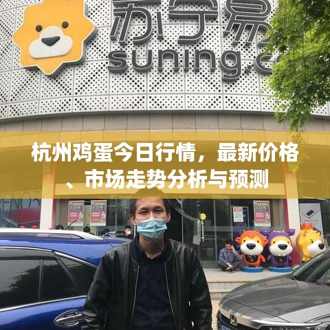 杭州雞蛋今日行情，最新價(jià)格、市場走勢分析與預(yù)測