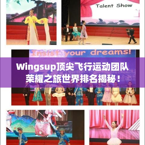 Wingsup頂尖飛行運(yùn)動(dòng)團(tuán)隊(duì)榮耀之旅世界排名揭秘！