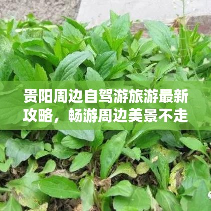 貴陽(yáng)周邊自駕游旅游最新攻略，暢游周邊美景不走彎路！
