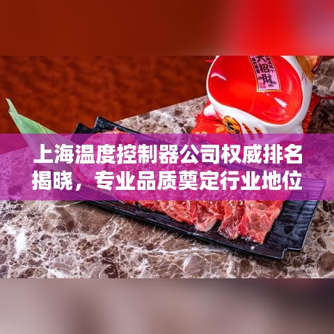 上海溫度控制器公司權(quán)威排名揭曉，專業(yè)品質(zhì)奠定行業(yè)地位