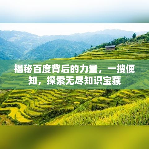 揭秘百度背后的力量，一搜便知，探索無盡知識寶藏