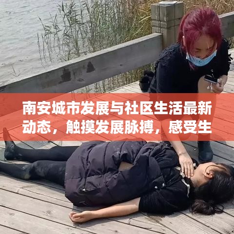 南安城市發(fā)展與社區(qū)生活最新動態(tài)，觸摸發(fā)展脈搏，感受生活色彩