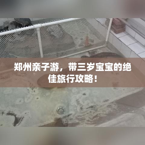 鄭州親子游，帶三歲寶寶的絕佳旅行攻略！