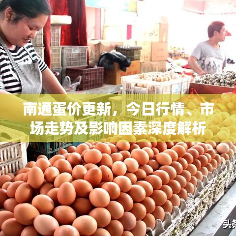 南通蛋價更新，今日行情、市場走勢及影響因素深度解析