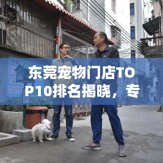 東莞寵物門店TOP10排名揭曉，專業(yè)與貼心并存的寵物服務(wù)體驗