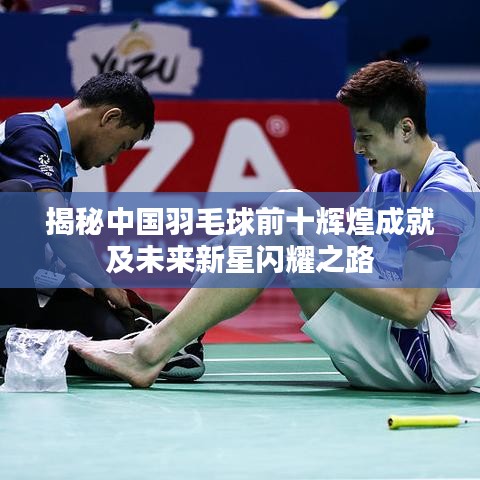 揭秘中國羽毛球前十輝煌成就及未來新星閃耀之路