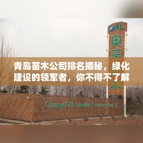 青島苗木公司排名揭秘，綠化建設的領軍者，你不得不了解的佼佼者！