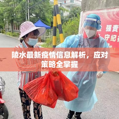 陵水最新疫情信息解析，應對策略全掌握