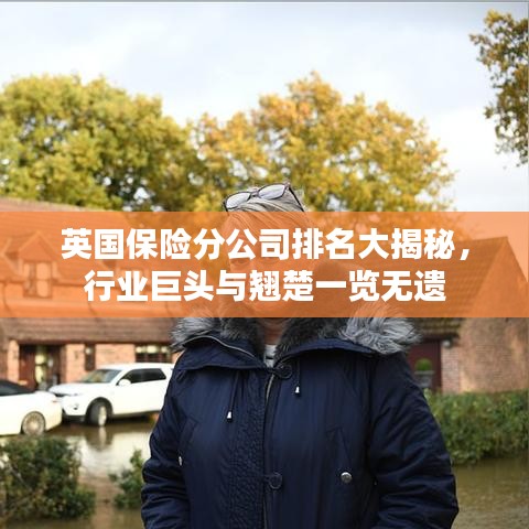 英國保險分公司排名大揭秘，行業(yè)巨頭與翹楚一覽無遺