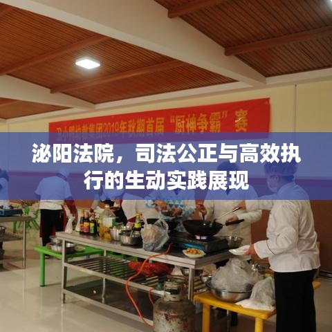 泌陽法院，司法公正與高效執(zhí)行的生動實踐展現(xiàn)