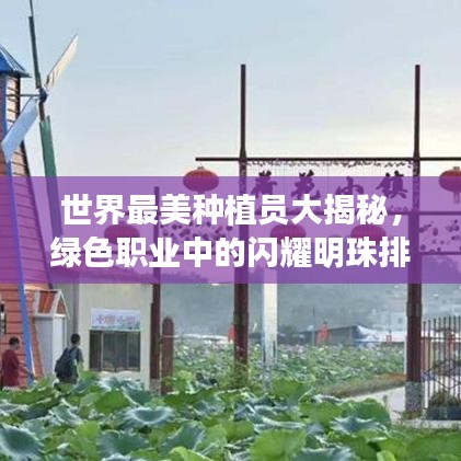 世界最美種植員大揭秘，綠色職業(yè)中的閃耀明珠排名榜單！