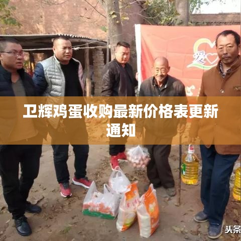 衛(wèi)輝雞蛋收購最新價格表更新通知