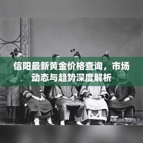 信陽最新黃金價格查詢，市場動態(tài)與趨勢深度解析