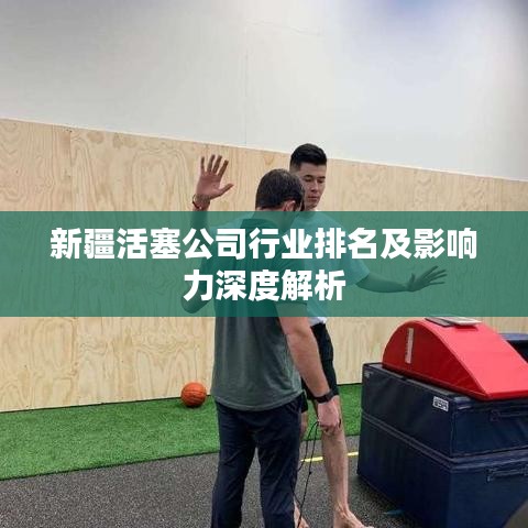 新疆活塞公司行業(yè)排名及影響力深度解析