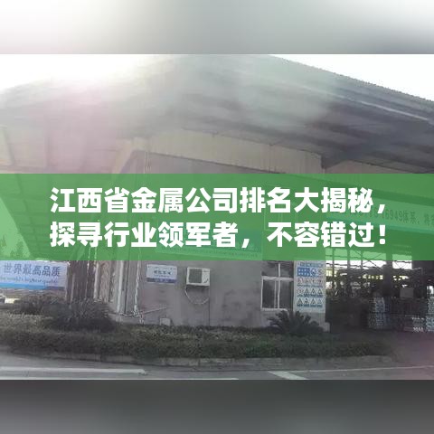 江西省金屬公司排名大揭秘，探尋行業(yè)領(lǐng)軍者，不容錯(cuò)過(guò)！