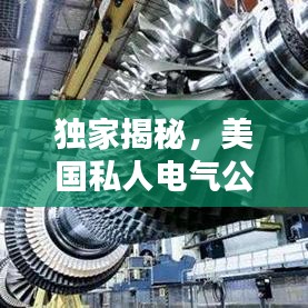 獨家揭秘，美國私人電氣公司權(quán)威排名榜單！