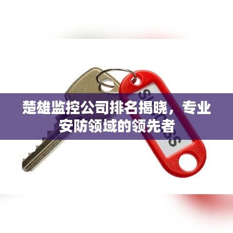 楚雄監(jiān)控公司排名揭曉，專業(yè)安防領(lǐng)域的領(lǐng)先者