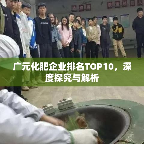 廣元化肥企業(yè)排名TOP10，深度探究與解析