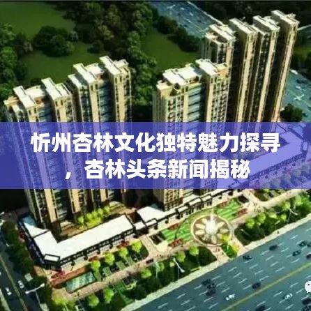 忻州杏林文化獨特魅力探尋，杏林頭條新聞揭秘