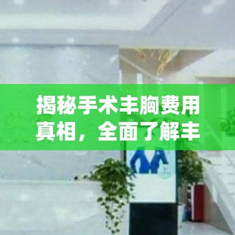 揭秘手術(shù)豐胸費(fèi)用真相，全面了解豐胸費(fèi)用細(xì)節(jié)！